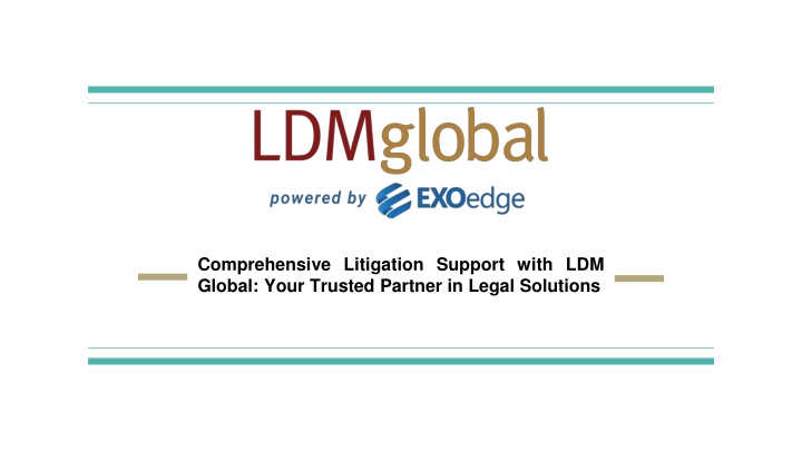 comprehensive litigation support with ldm global