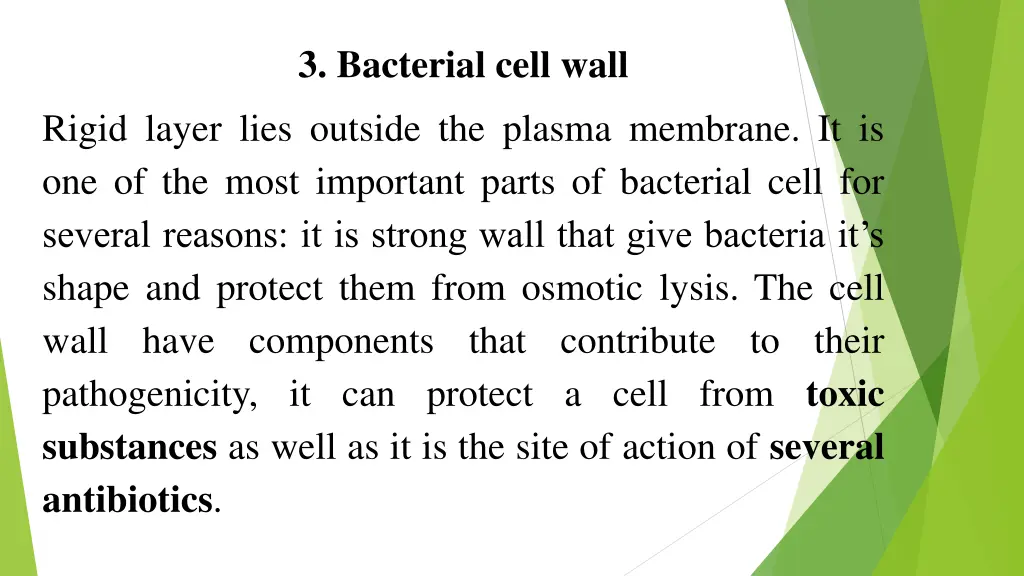 3 bacterial cell wall