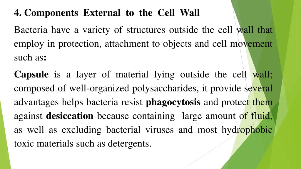 4 components external to the cell wall