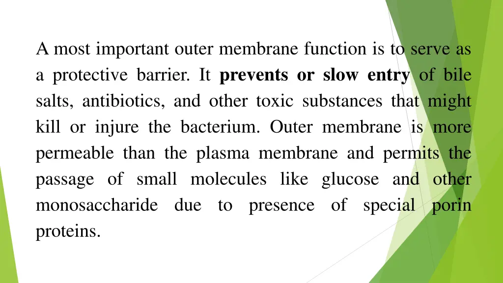 a most important outer membrane function