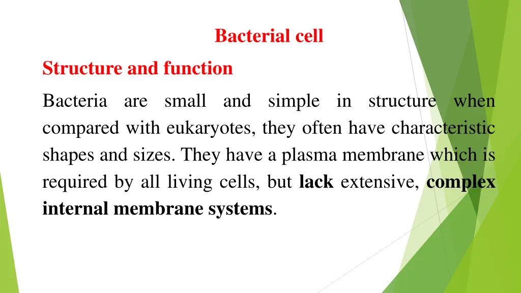 bacterial cell