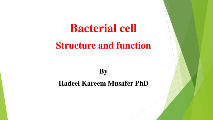 bacterial cell structure and function