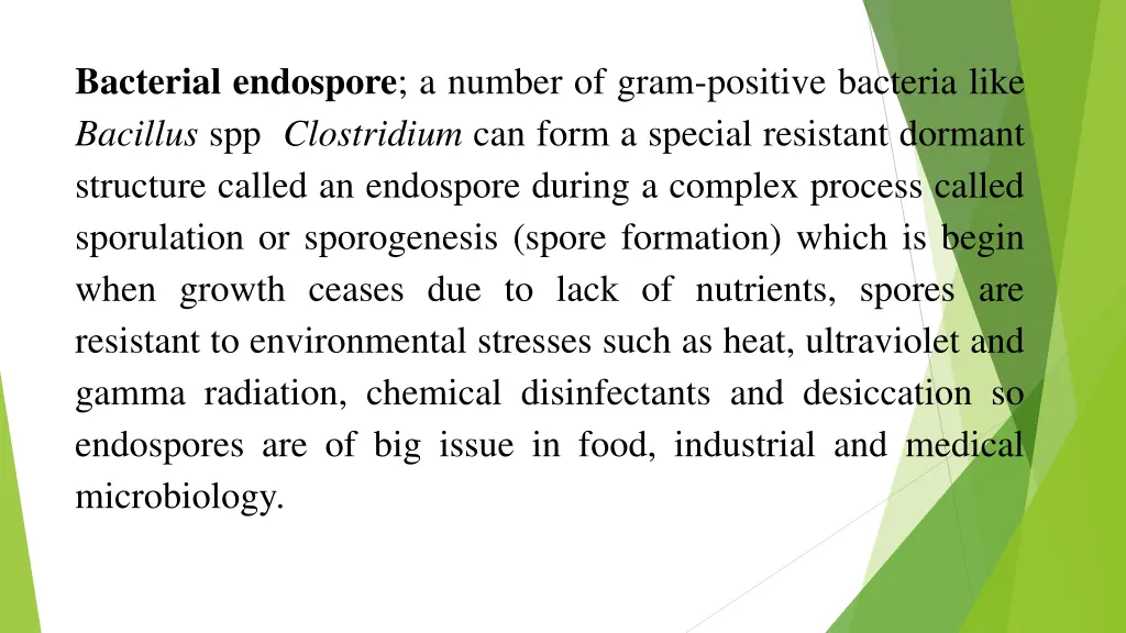 bacterial endospore a number of gram positive