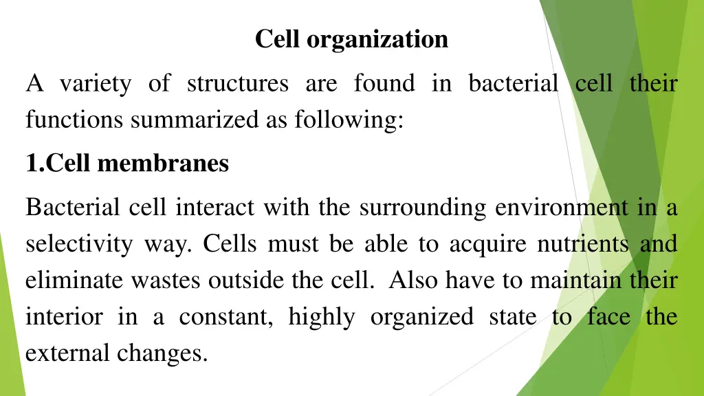 cell organization