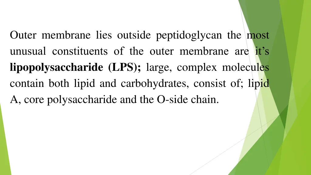 outer membrane lies outside peptidoglycan