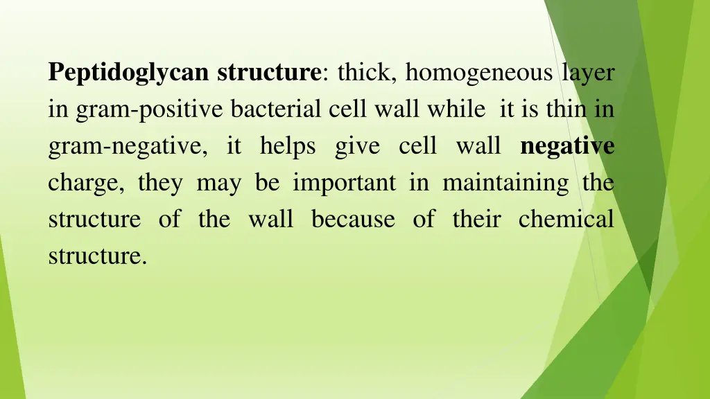 peptidoglycan structure thick homogeneous layer