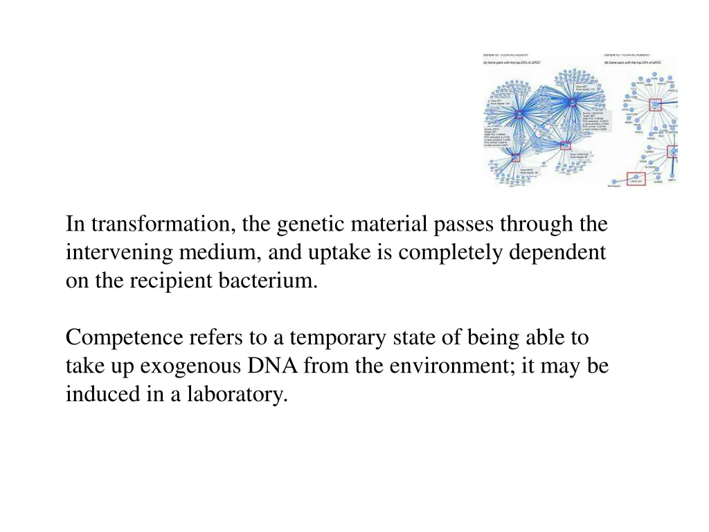 in transformation the genetic material passes