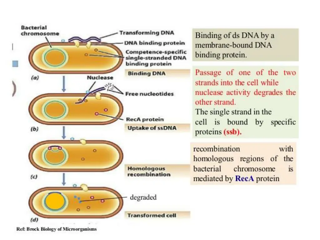 slide13