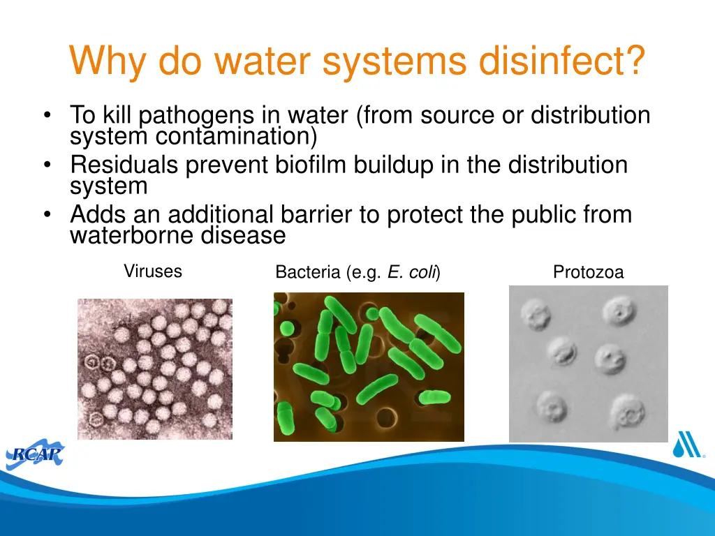 why do water systems disinfect