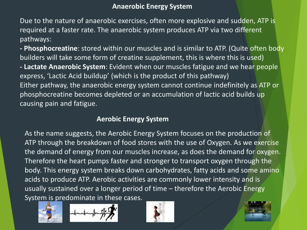 anaerobic energy system