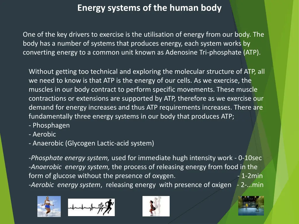 energy systems of the human body