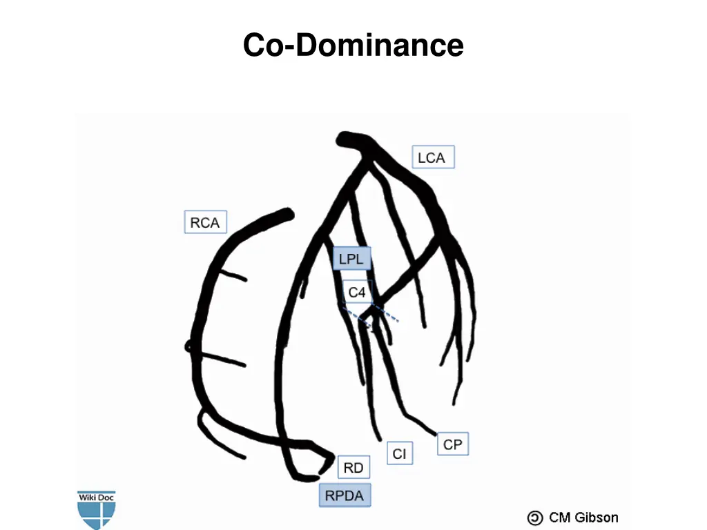 co dominance