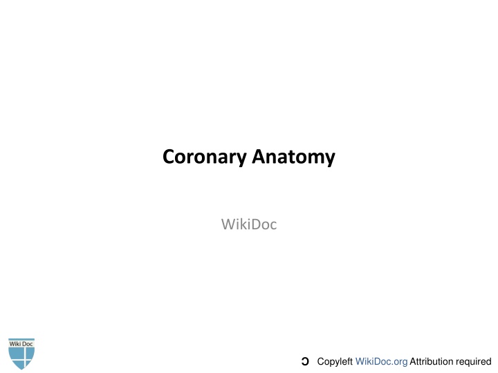 coronary anatomy