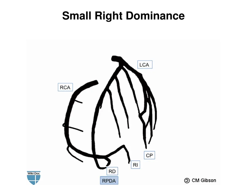 small right dominance