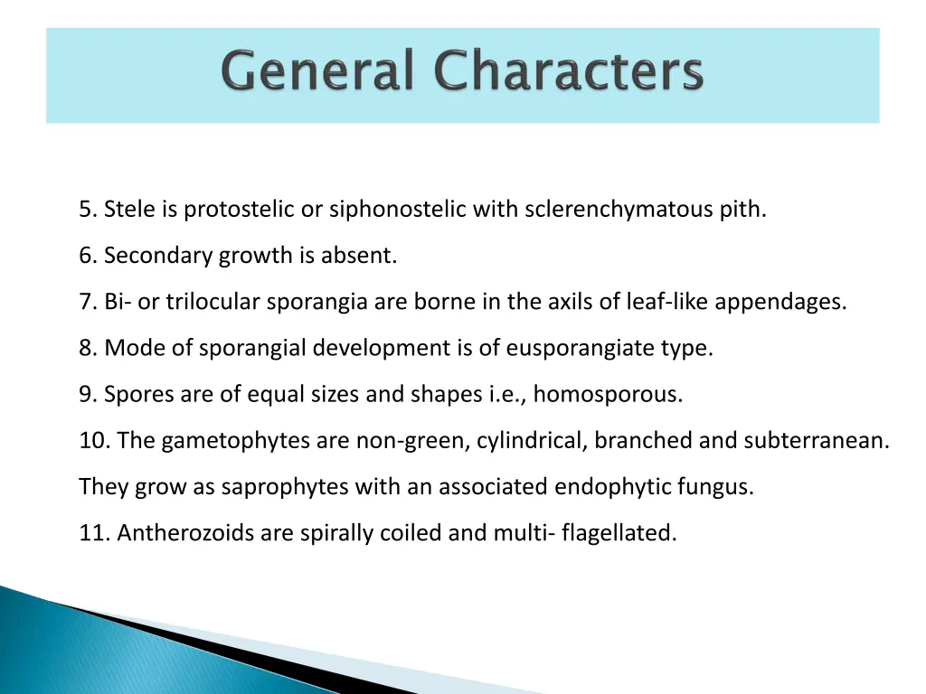 5 stele is protostelic or siphonostelic with