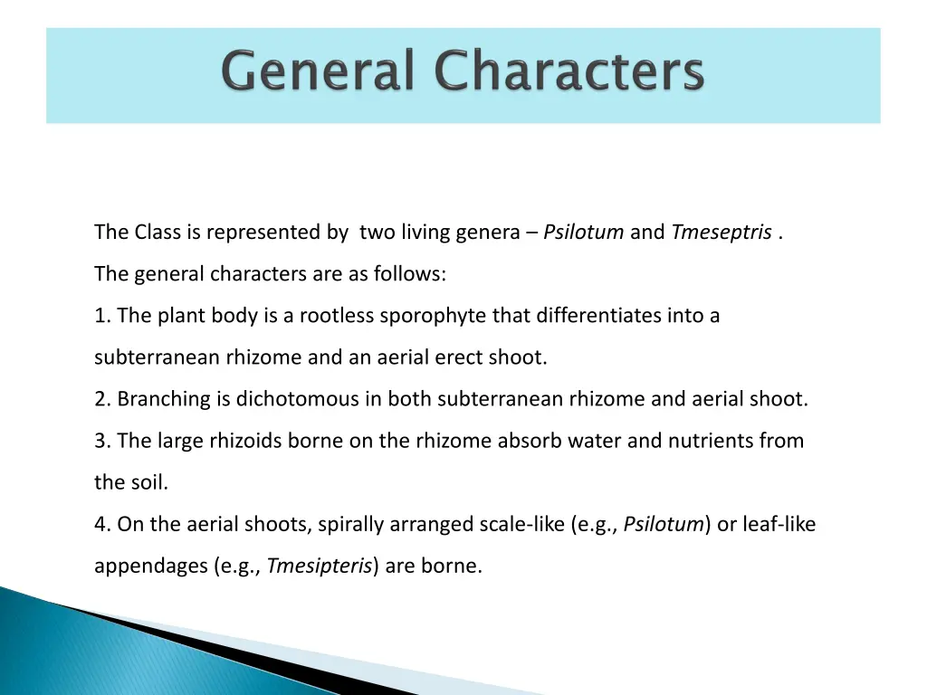 the class is represented by two living genera