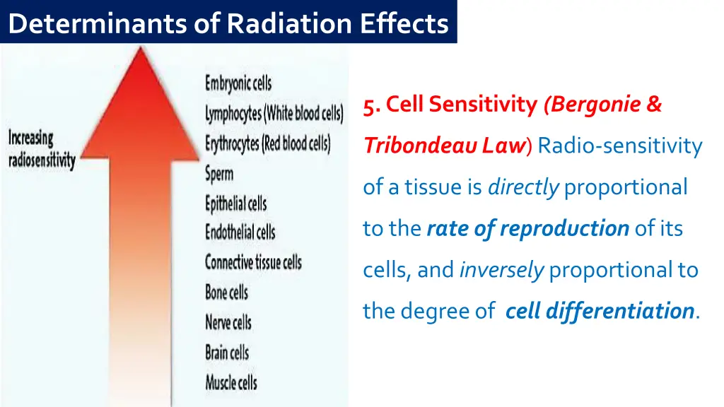 determinants of radiation effects