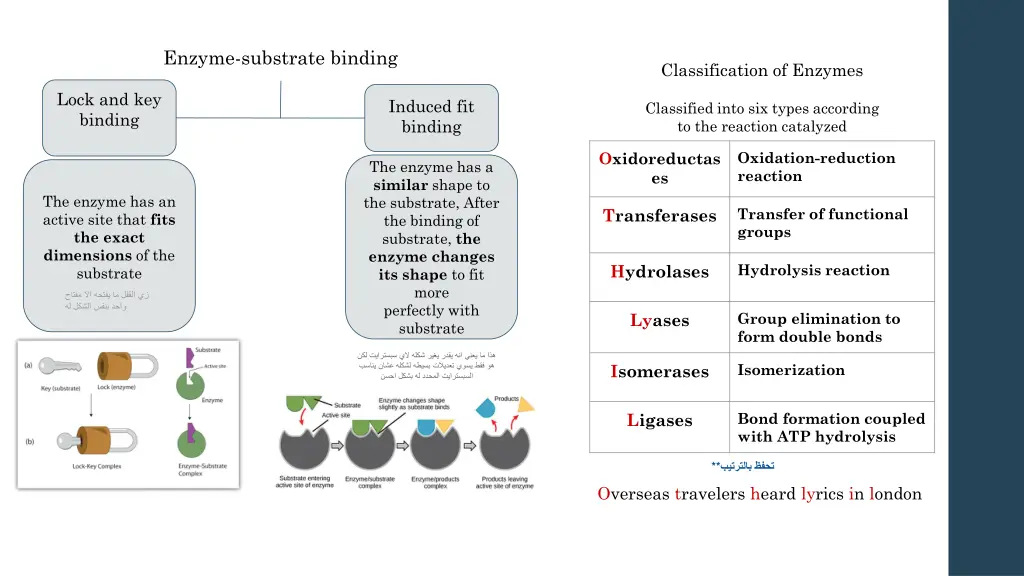 enzyme substrate binding