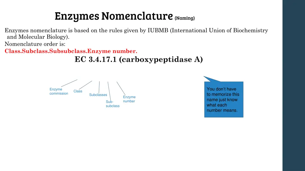 enzymes nomenclature naming