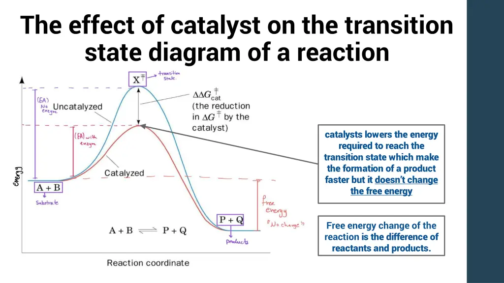 the effect of catalyst on the transition state