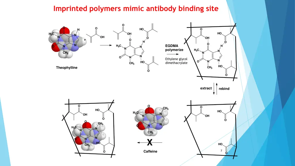 imprinted polymers mimic antibody binding site