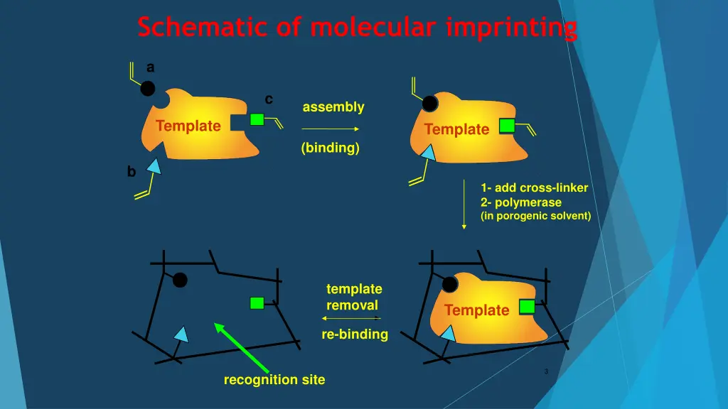 schematic of molecular imprinting