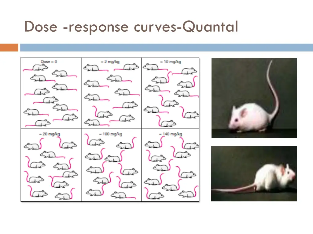 dose response curves quantal 1