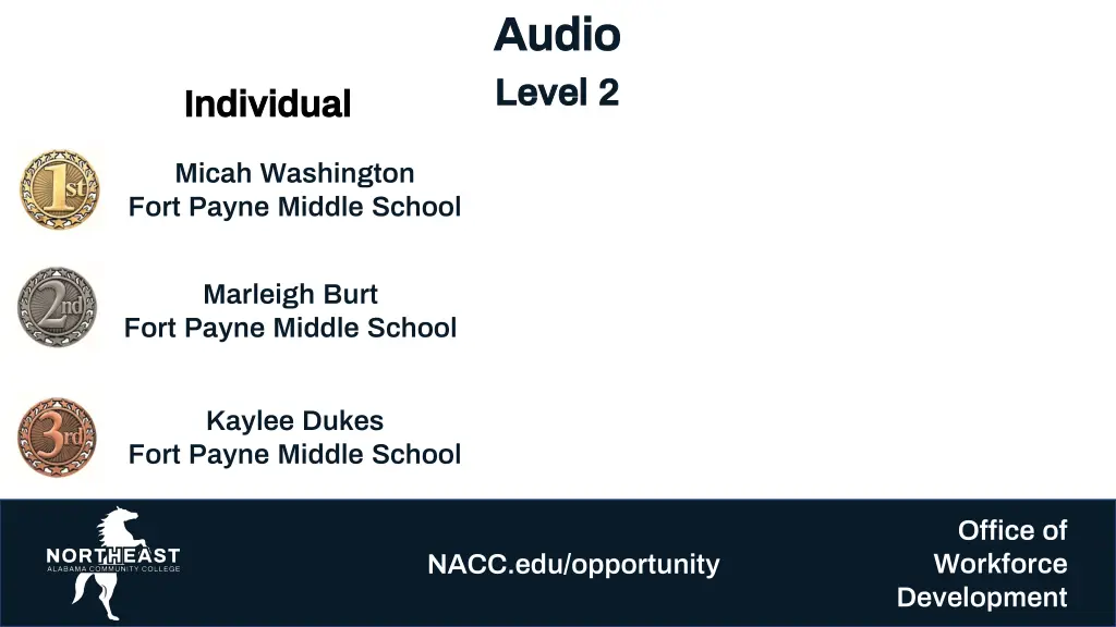 audio audio level 2 level 2