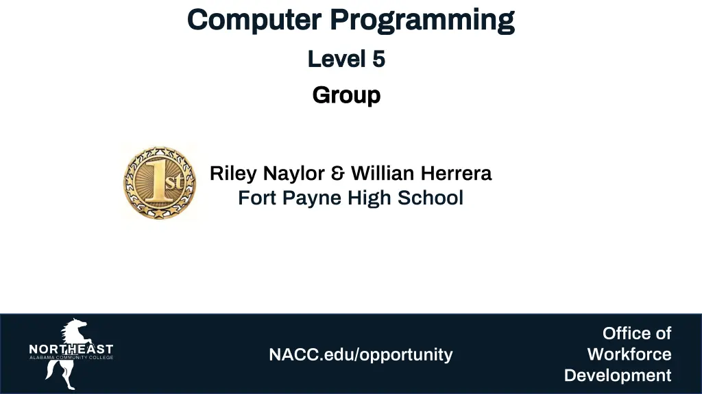 computer programming computer programming level 1