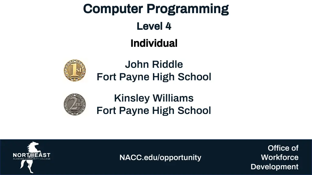 computer programming computer programming level