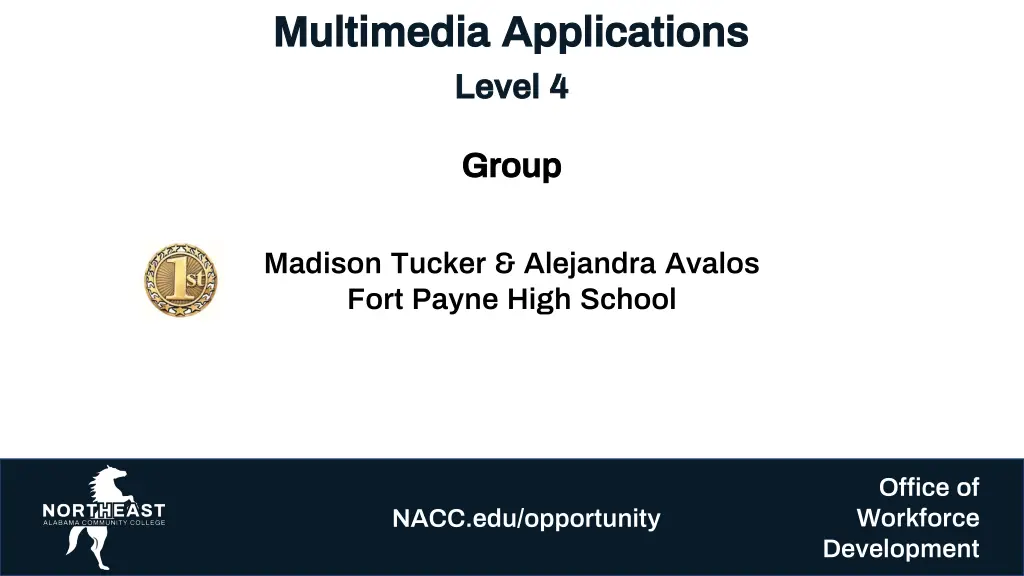 multimedia applications multimedia applications 3