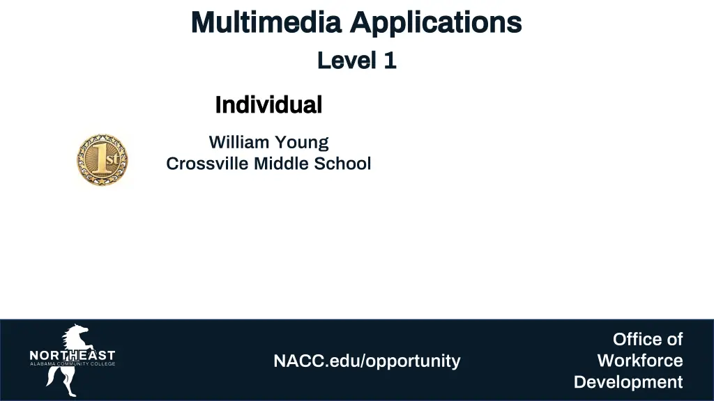 multimedia applications multimedia applications