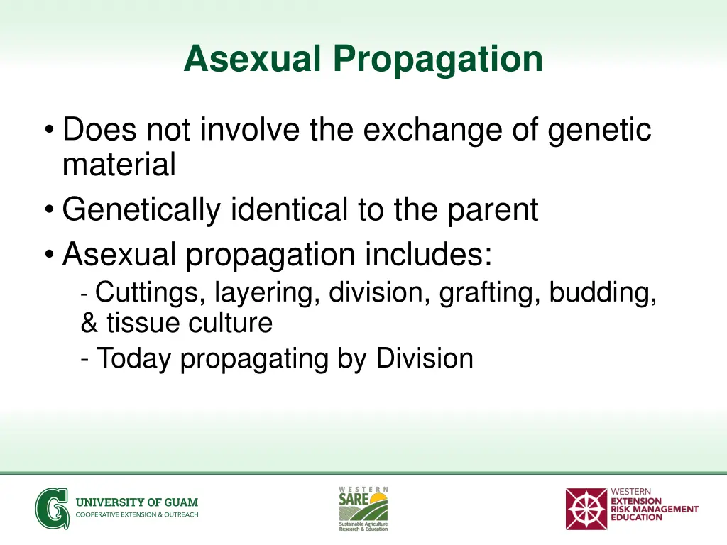 asexual propagation