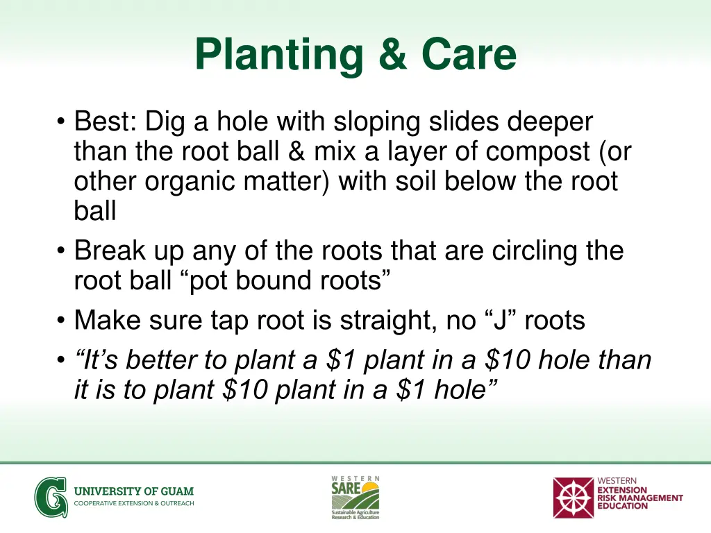 planting care 1