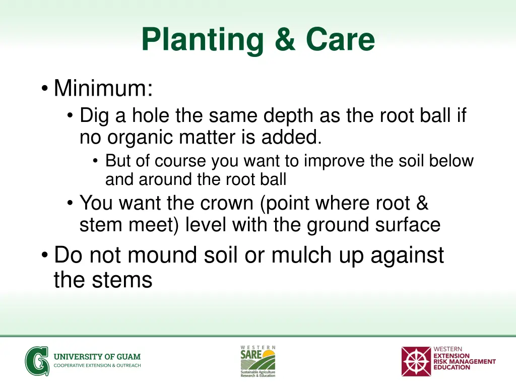 planting care