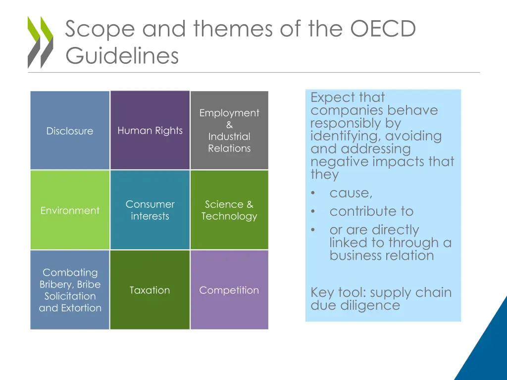 scope and themes of the oecd guidelines