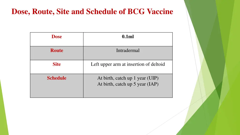 dose route site and schedule of bcg vaccine