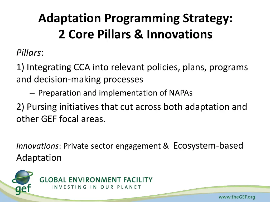 adaptation programming strategy 2 core pillars