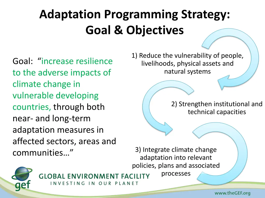 adaptation programming strategy goal objectives