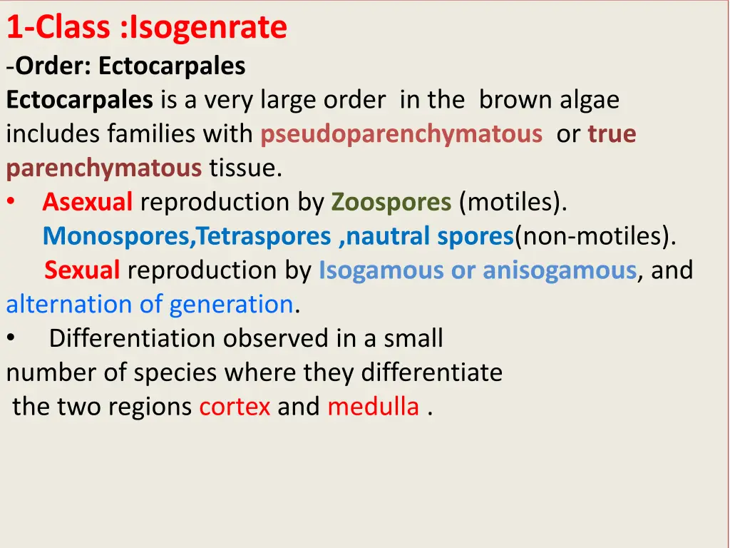 1 class isogenrate order ectocarpales