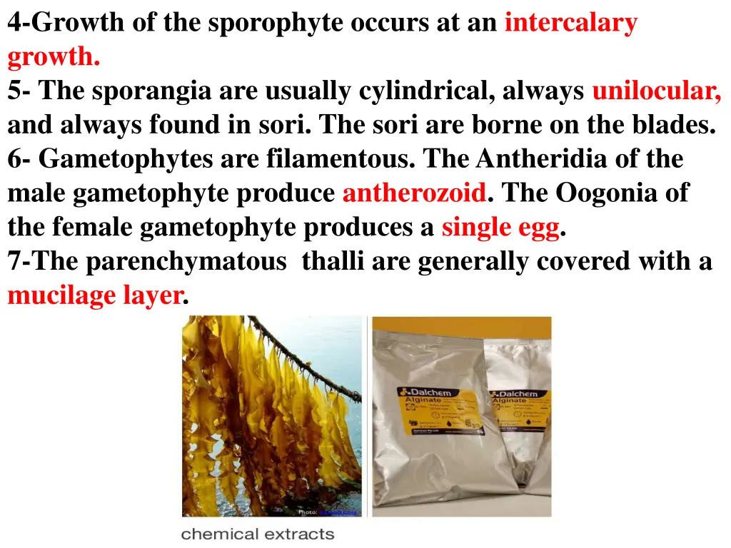 4 growth of the sporophyte occurs