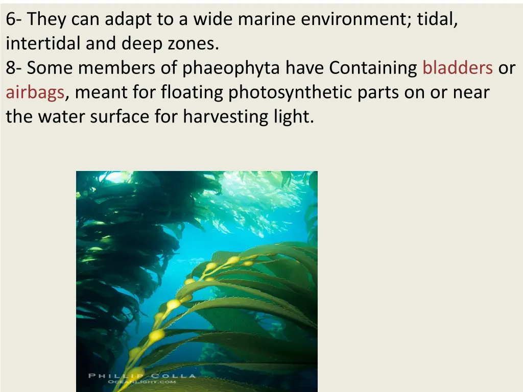 6 they can adapt to a wide marine environment