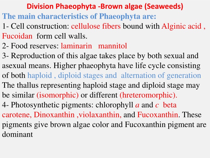 division phaeophyta brown algae seaweeds the main