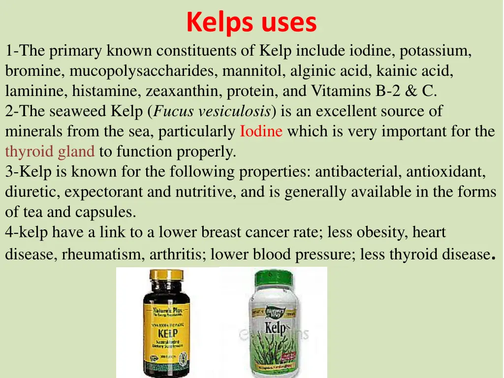 kelps uses