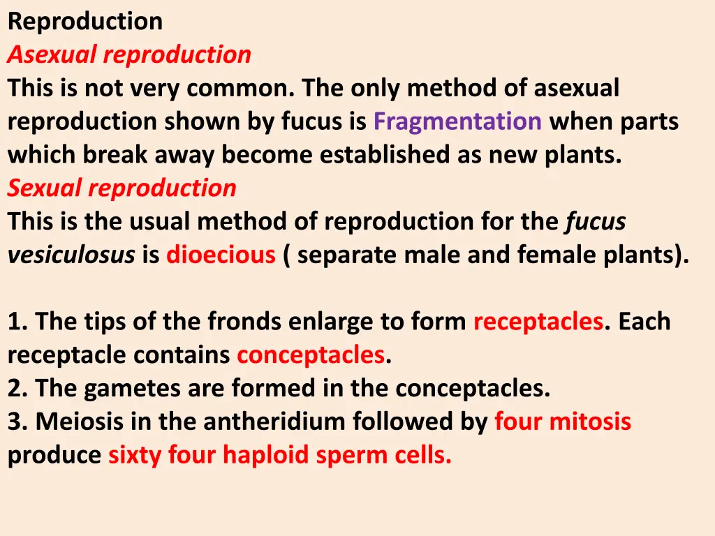 reproduction asexual reproduction this