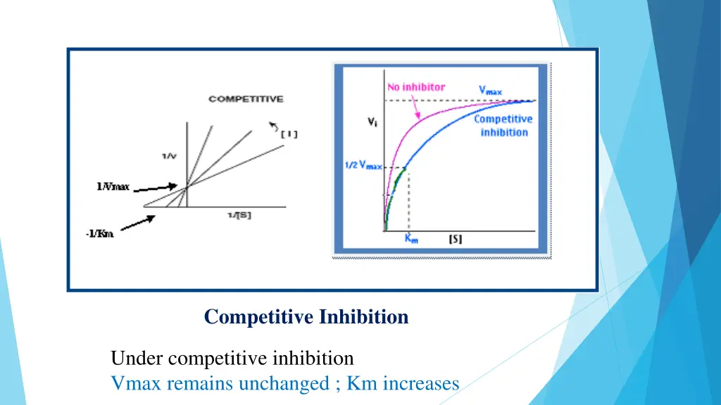 competitive inhibition