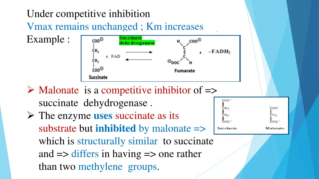 under competitive inhibition vmax remains