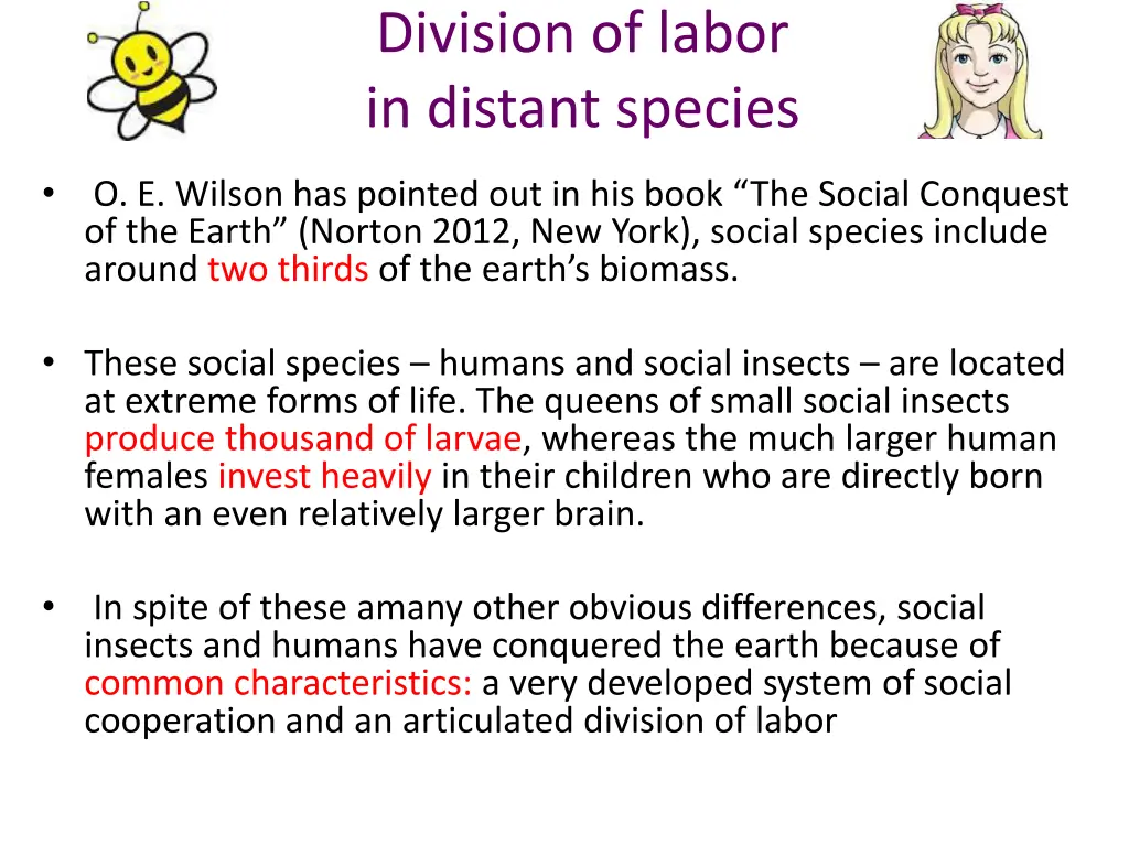 division of labor in distant species