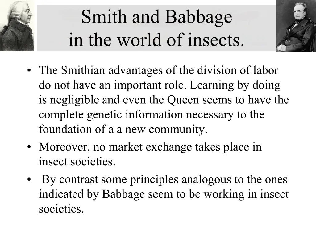 smith and babbage in the world of insects