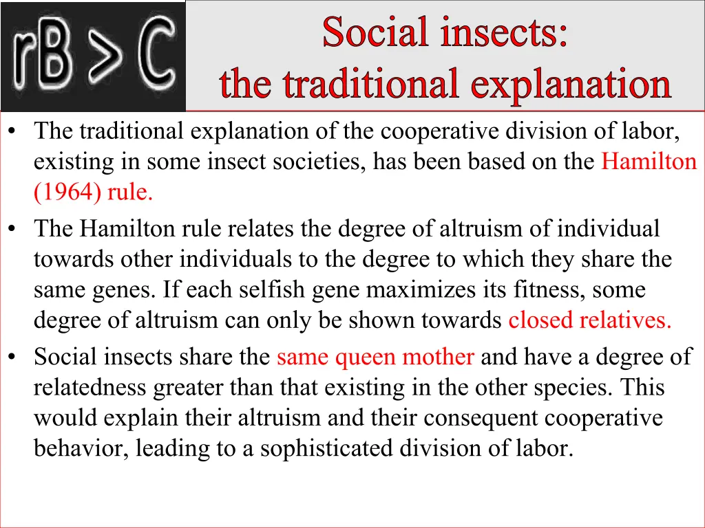 social insects the traditional explanation